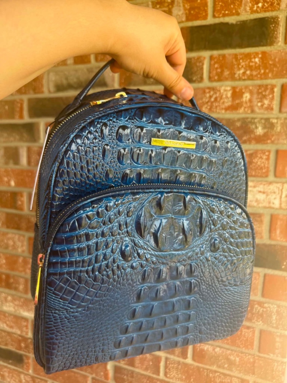 Brahmin Sapphire Melbourne Chelcy Backpack